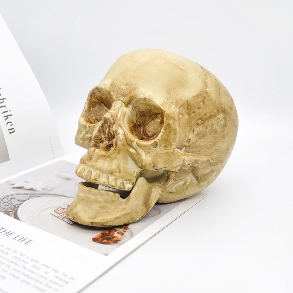 Скульптура в виде черепа пластиковая для украшения дома Хэллоуина размер 1:1