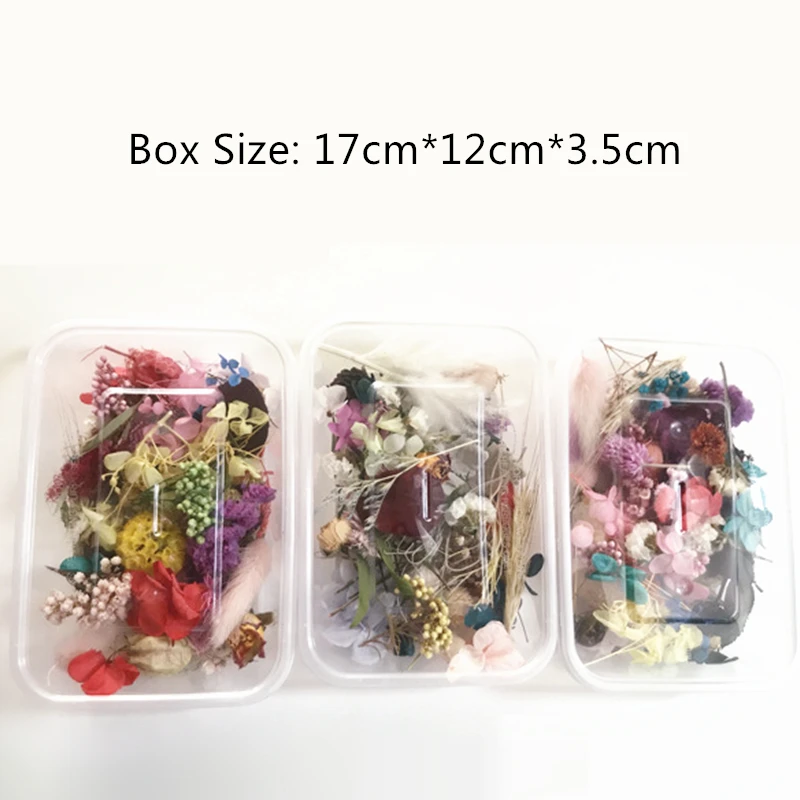 1 коробка Натуральные сушеные цветы для ногтей пресс дизайна сделай сам
