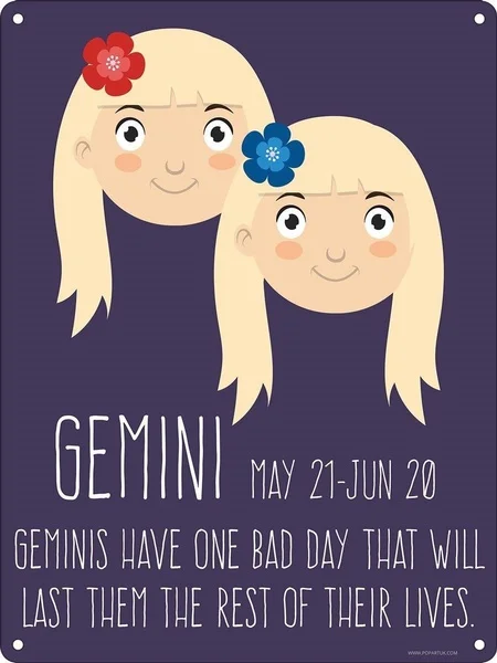 

20*30 см металлический жестяной знак Hoodwink Horoscopes-жестяной знак Gemini