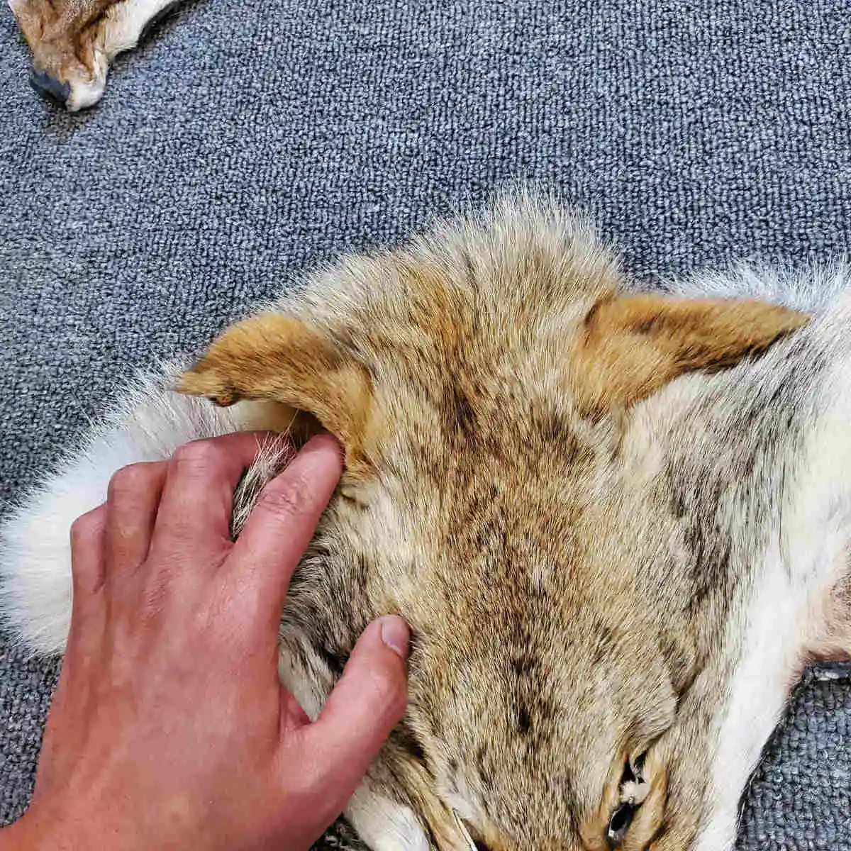 Украшение сделай сам из меха Койот | Дом и сад