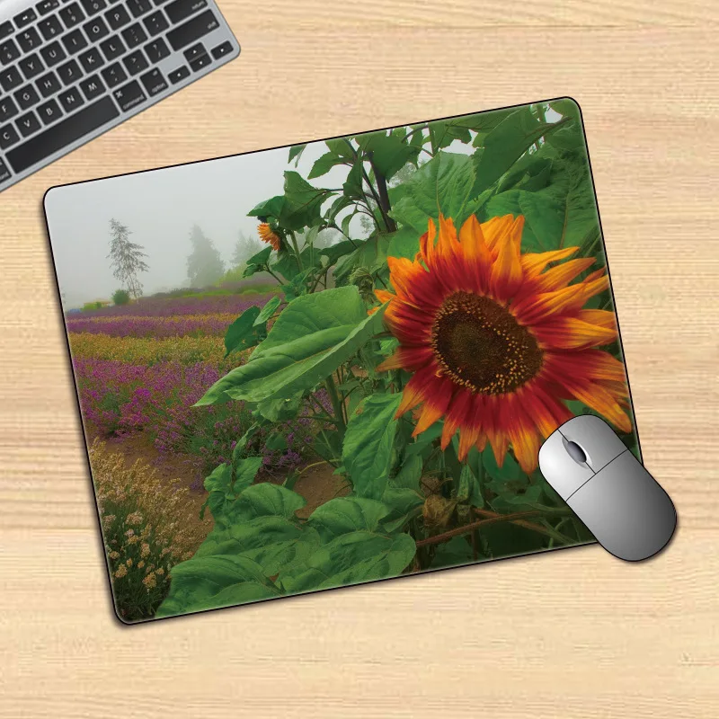 

computer office desk pad