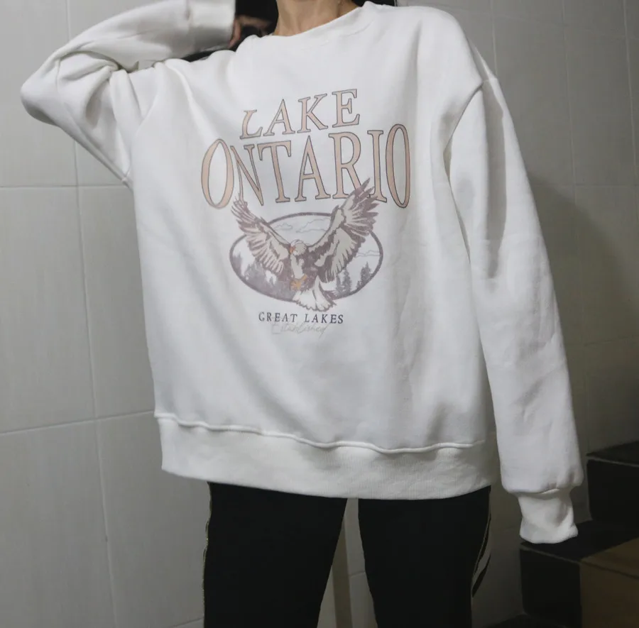 

Letter Print Sweatshirt Vintage Women Hoodies Gray Cotton Warm Fleece Winter Pullovers 2020 Autumn New Casual Streetwear Girls