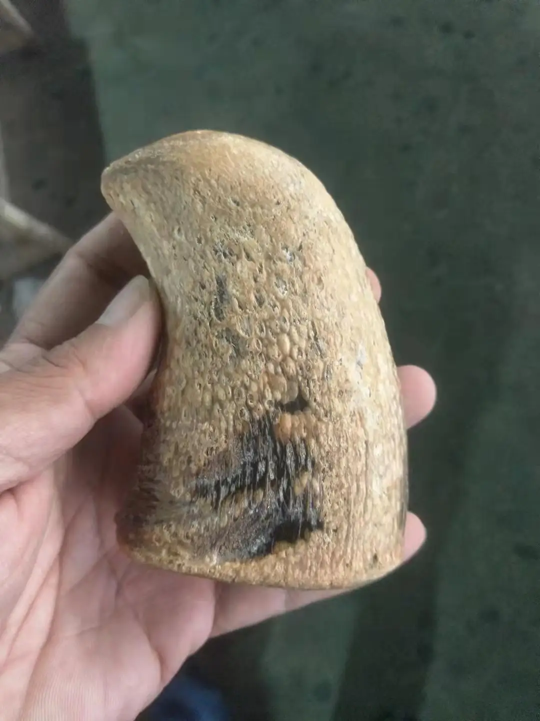 

Rare old Rhino horn ornament，Free shipping