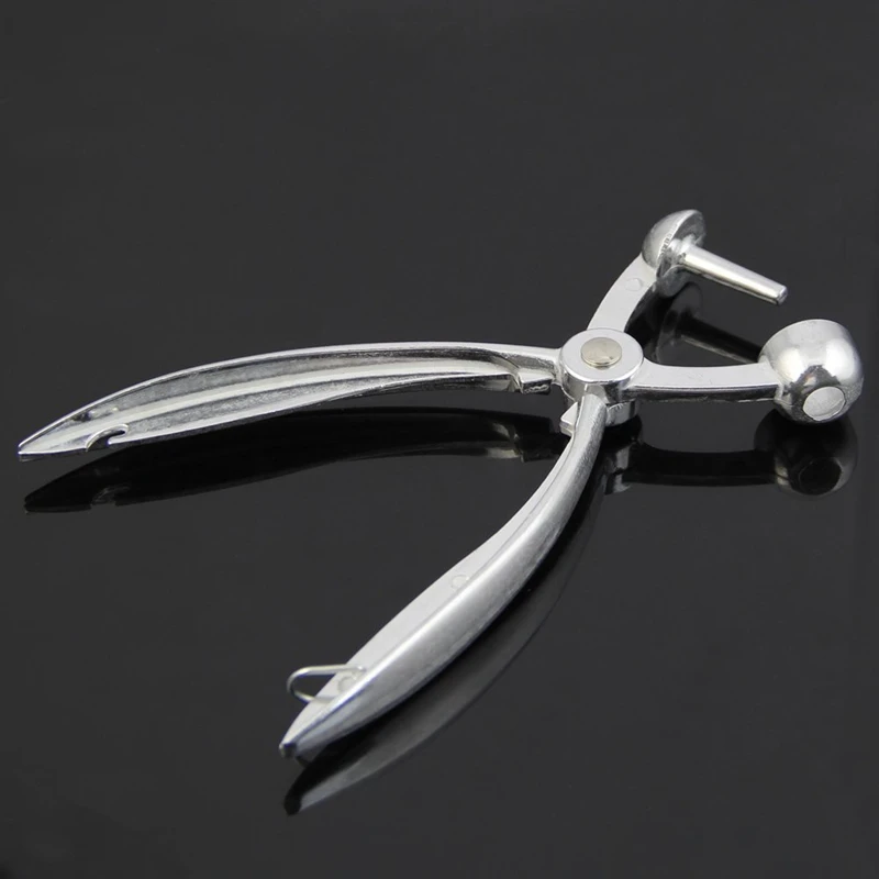 Серебряный Алюминий вишневых красные финики оливки яма легкого удаления Core