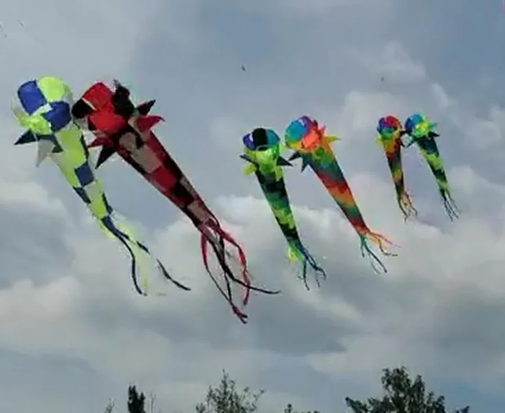 5M Large 3D Kites Modelle Original Soft Bady Drachen Tropical Fish Favor T F1B4 