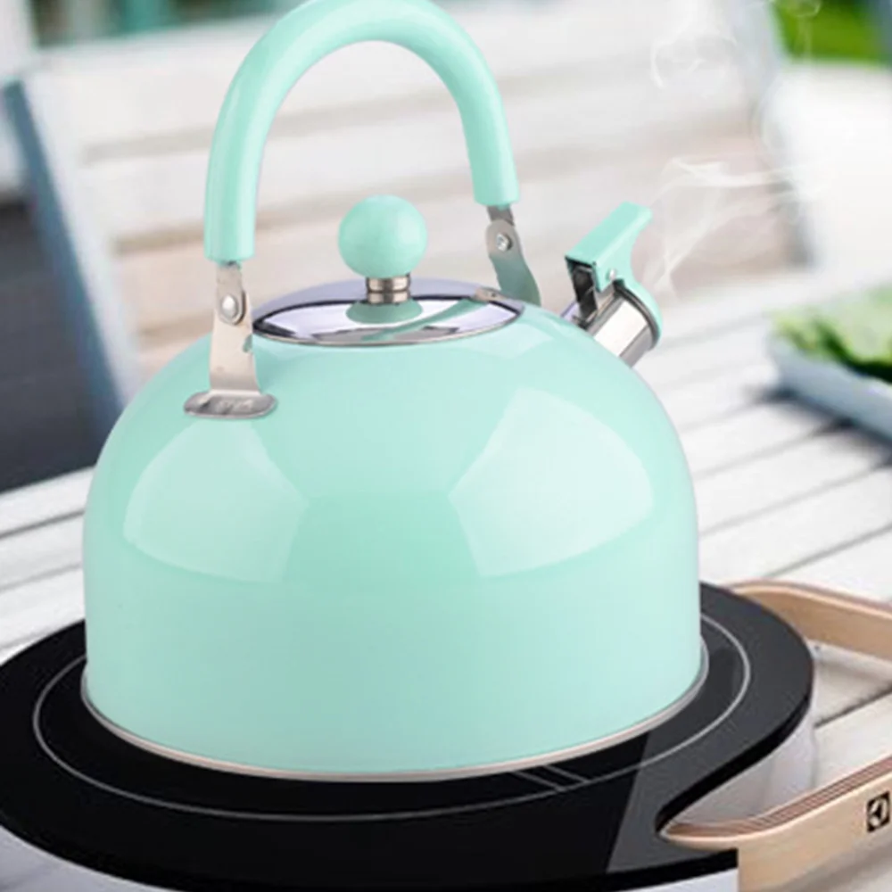 2.5л чайник со свистком для газовой плиты Chaleira bouilluire из нержавеющей стали бутылка