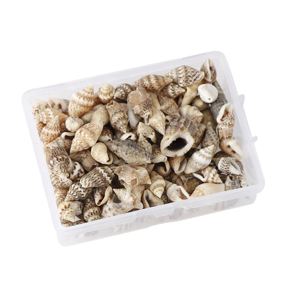 1 Box Pattern 4 Styles Nature Beach Fashion Sea Shells For DIY Caft Decor Jewelery Craft Accessories Holes Shell Decoration