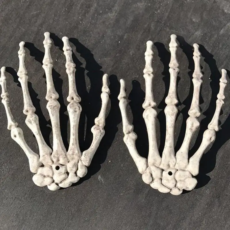 Человеческая Анатомия кости медицинская модель скелета медицинские узнать