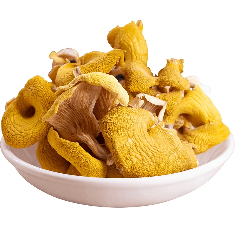 

Chicken oil dry yunnan specialties yellow mushroom mushroom elm yellow mushroom fresh dry chicken oil yellow bacteria