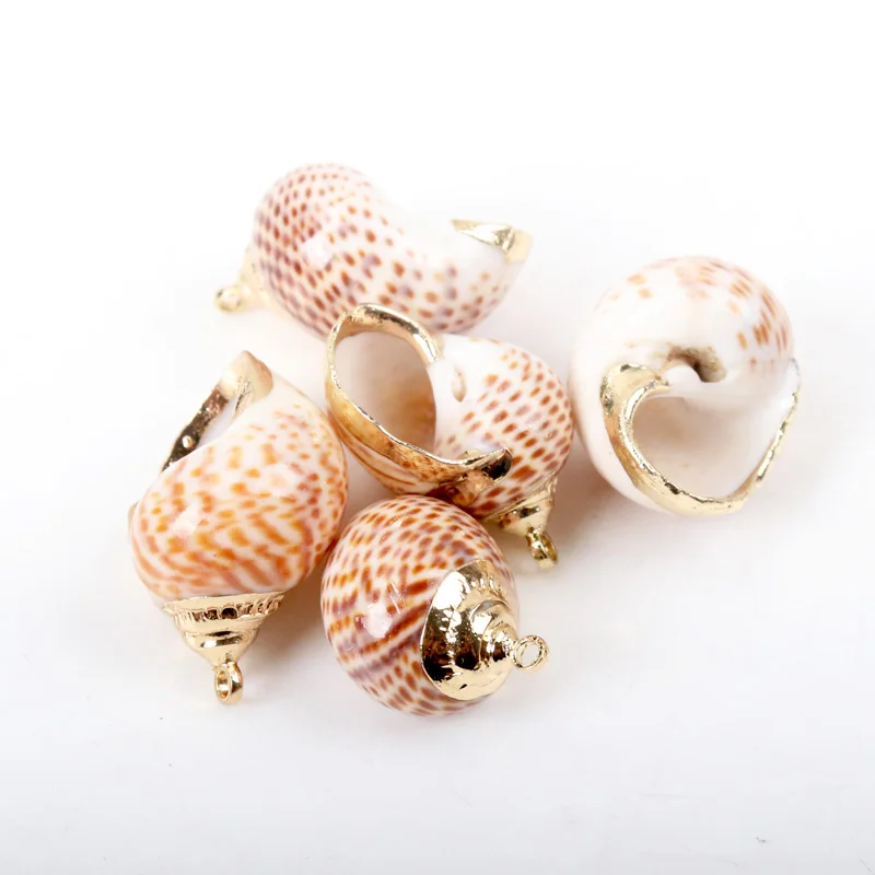 5 шт. декоративные ракушки для аквариума пляжа | Дом и сад
