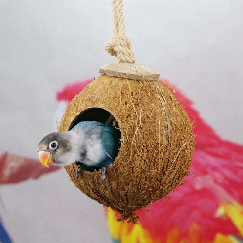 Висит попугая клетки попугай круглый Форма птичьи гнезда скорлупы кокосового