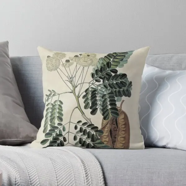 

acacia vintage botanical print Soft Decorative Throw Pillow Cover for Home Pillows NOT Included
