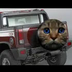 3d печать на заказ, бесплатная доставка, милая крутая запасная шина с животными, кошкой, собакой, бесплатная доставка, автомобильные аксессуары, чехол на колесо