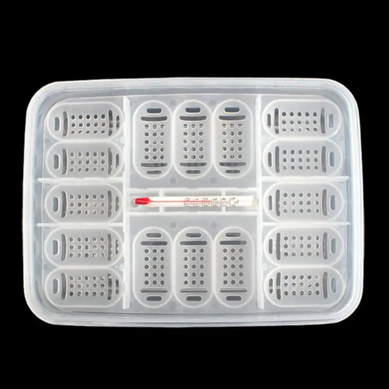 Лоток для яиц под рептилию яйцо ящерицы инкубатор инкубатора предназначенный