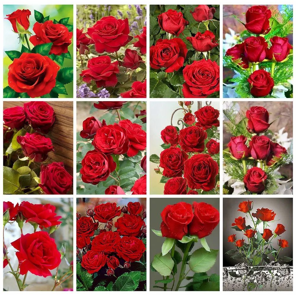 

Алмазная живопись, новые цветочные картины Стразы 5D, алмазная вышивка «сделай сам», вышивка крестиком, роза, картина