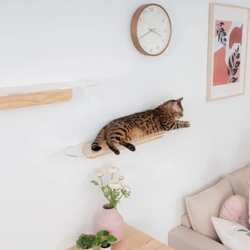 

Acrylic Cat Jumping Board Wall-Mounted Cat Climbing Frame Cat Platform House DIY Cat Tree Toy Cat Hammock Bed Wood Pet Furniture