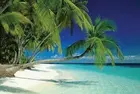 Новые Мальдивы пляж и море пальмы на тропическом острове Железный постер Бар Паб гараж столовая кафе домашняя Настенная Декорация