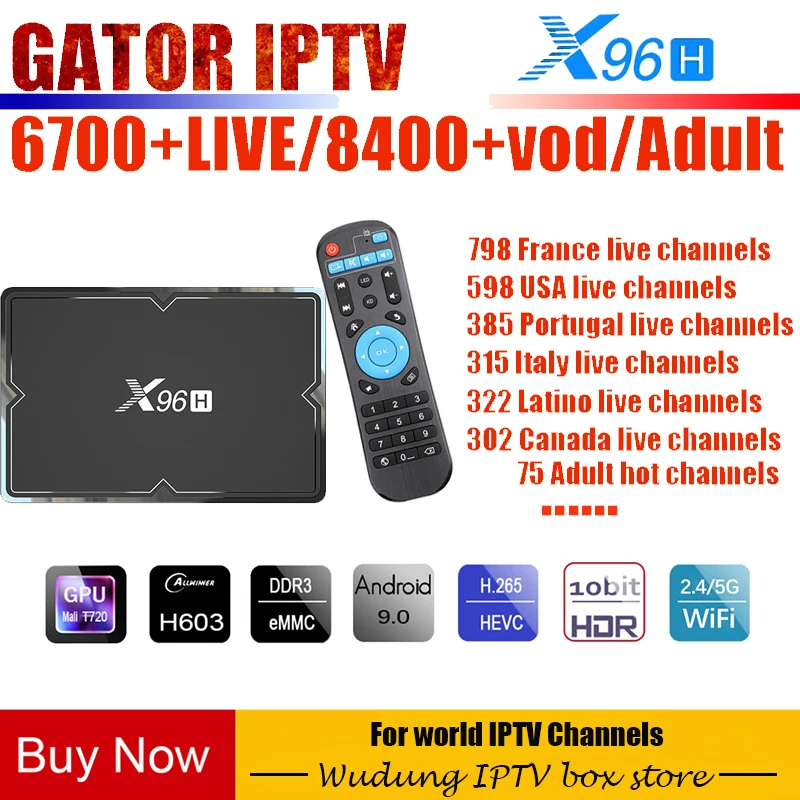 X96H Android 9,0 Allwinner H603 wifi 1080P tv Box Франция Португалия Бельгия Нидерланды Бельгия Италия Канада подписка IP tv Box