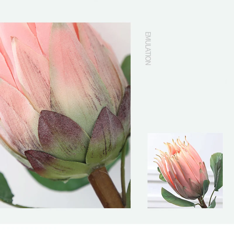 

Festive & Party Supplies