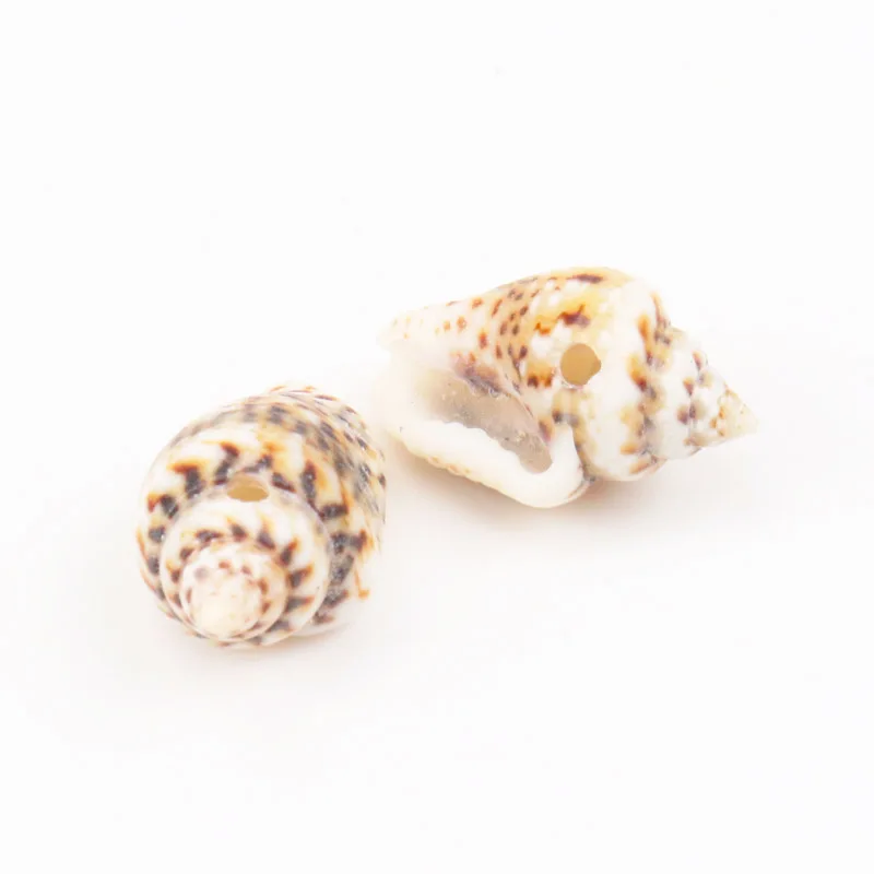 Натуральная спиральная ракушка с леопардовым узором Concha Do Mar товары для