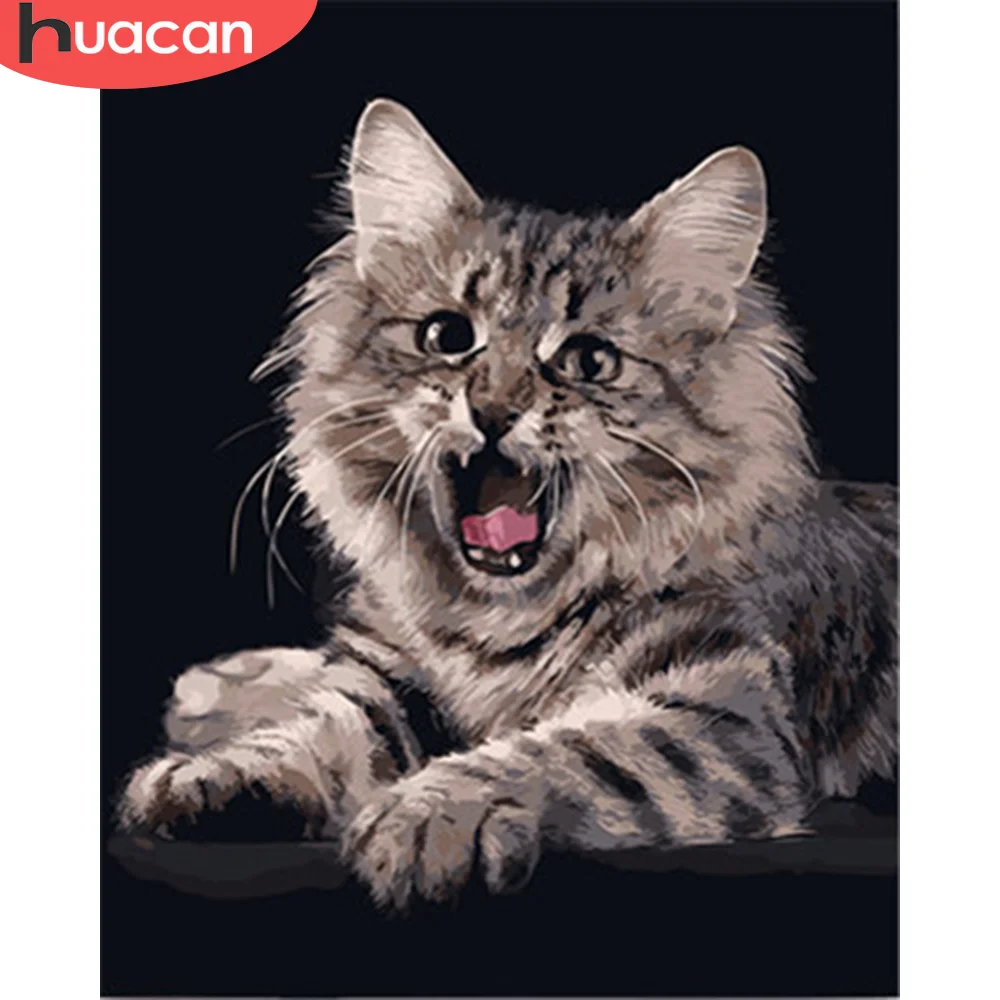 HUACAN Безрамная кошка Diy Краска по номерам животные акриловая Раскраска на холсте