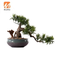 greeting pine bonsai decoration chinese household living room office hallway decorations sample room soft decoration green plant