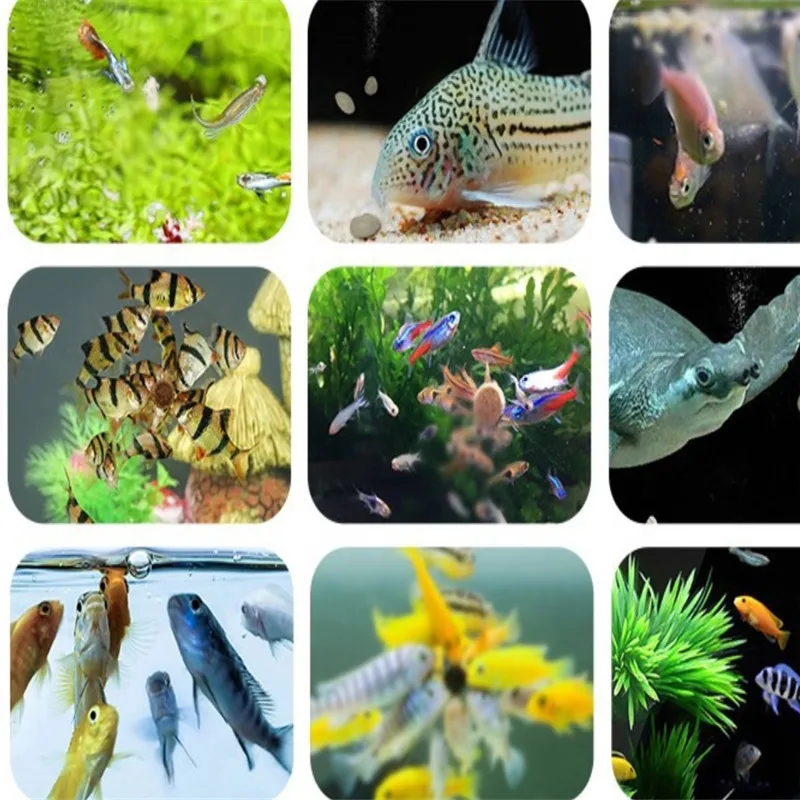 Горячая аквариум лиофилизированный Артемия креветок тропический небольших