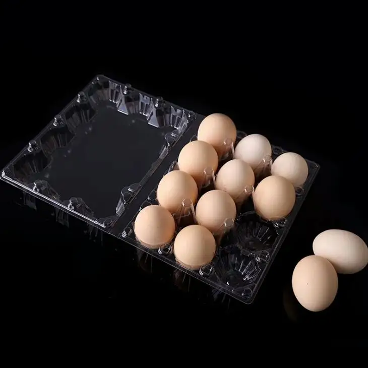 

12 Holes 193*147*63mm Quail Eggs Container Plastic Clear Egg Packing Storage Boxes Wholesale LX1950