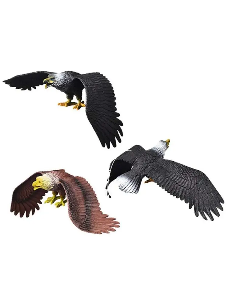 

Моделирование твердых статических птиц модель орнамент реалистичный Орл Детский обучающий реквизит сцена украшение детская игрушка