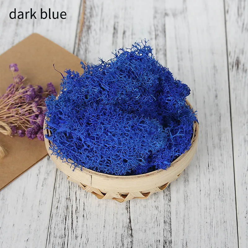 dark blue 10 г/упак. искусственное растение вечная жизнь мох домашний сад микро пейзаж DIY цветок материал живой мох Подарочная коробка поставки - Цвет: dark blue