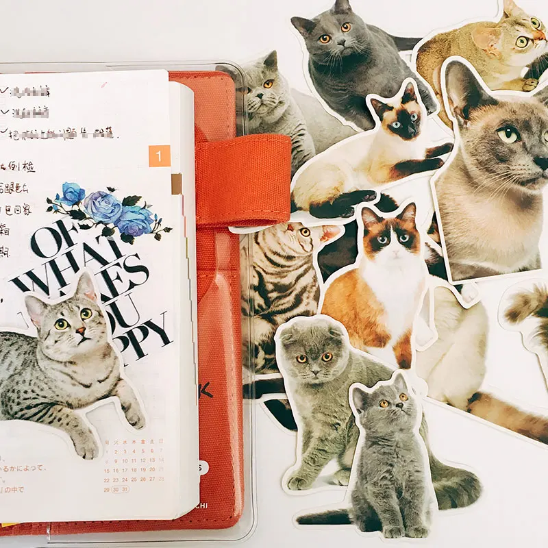 13 шт. DIY милый кот Стикеры дневник фотоальбом для ноутбука/Кот s бумага