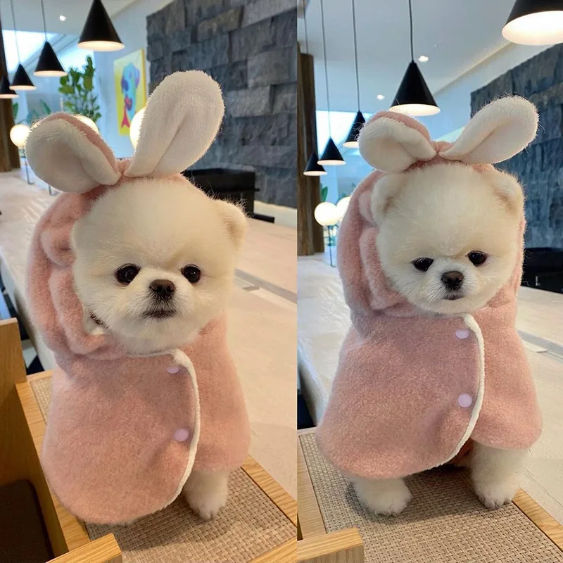 

New Ins Winter Pet Clothes Cartoon Rabbits and Dogs Transformed Into Woolen Cloak Cat Cloak To Keep Warm and Fashionable