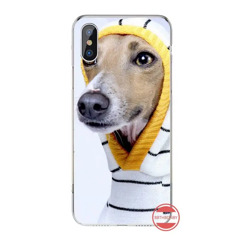 

Galgo Greyhound Dog Anti-fall cover luxury Phone Case coque For iphone 12 5 5s 5c se 6 6s 7 8 plus x xs xr 11 pro max