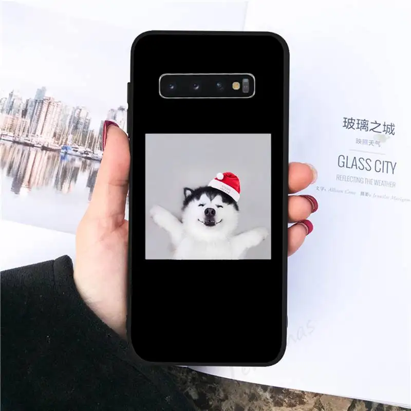 

Funny husky dog Cute animal Phone Case For Samsung galaxy S 7 8 9 10 20 edge A 6 10 20 30 50 51 70 note 10 plus