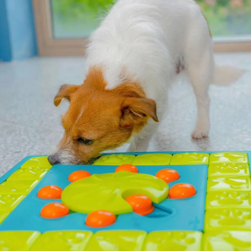 

Pet Toys Leakage Food Feeder Dog Toys Pet Supplies Teddy Training Feeding Tibetan Food Food Dropping Ball