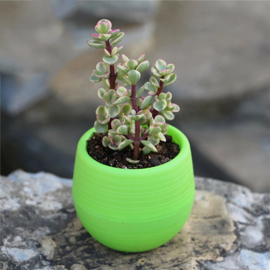 

Succulent Pot Flower Pots Mini Plant Planter Office Home decoration 10pcs/set