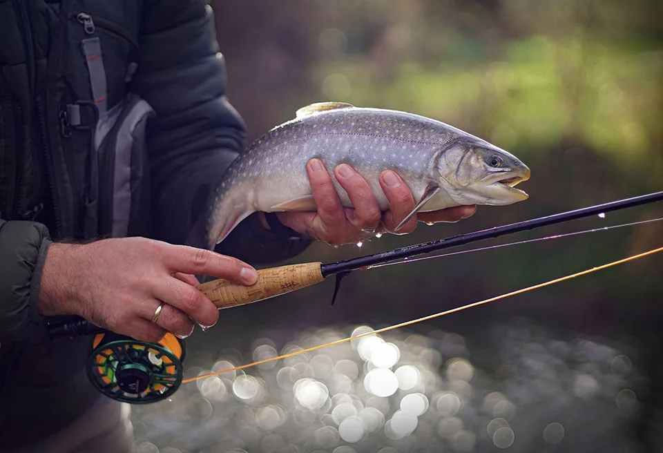 Maximumcatch 4-8WT быстрое действие нахлыстом Удочка 30T+ 40T SK Carbon 9FT 4sec Fly Rod с трубой Cordura