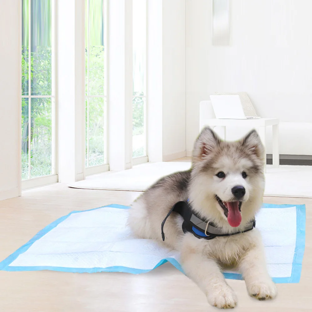 Одноразовые супер впитывающие подгузники для дрессировки питомцев кошек и