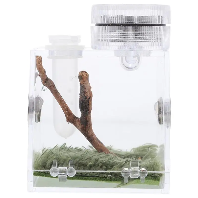 

Прозрачный чехол с подсветкой для хранения паука