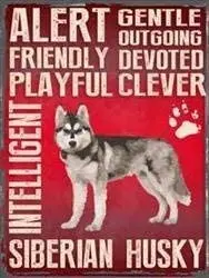 

TSHOME черты сибирской собаки хаски металлический жестяной знак Ретро Винтажные алюминиевые знаки 20x30 см
