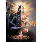 Алмазная картина 5D 