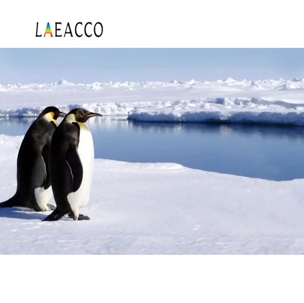 Laeacco фон для фотосъемки с изображением Антарктического пенгу зимы снега залива