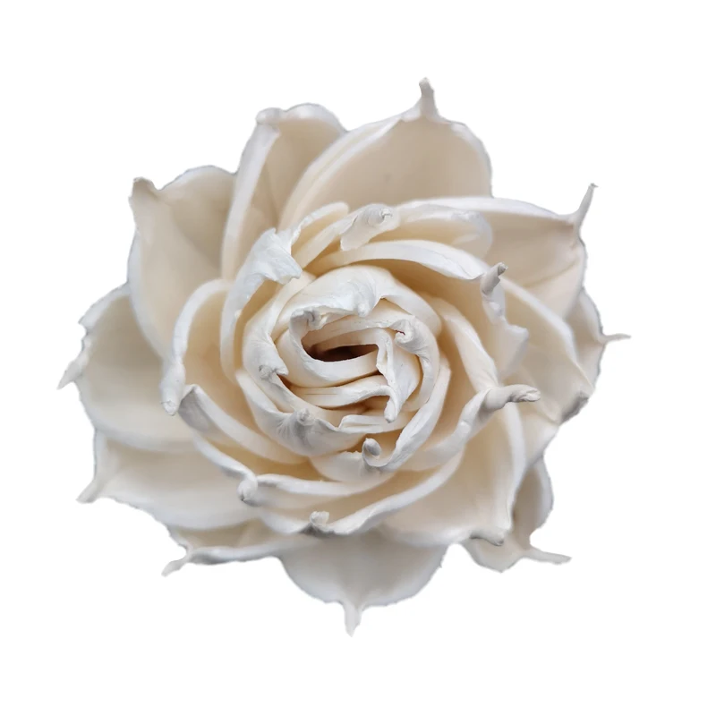 

40pcs 3.2" Sola Wood Flower with 6.5" black Fiber Rattan sticks Reeds Diffuser Non-fire Replacement Refill Flowers AGNI FLOWERS