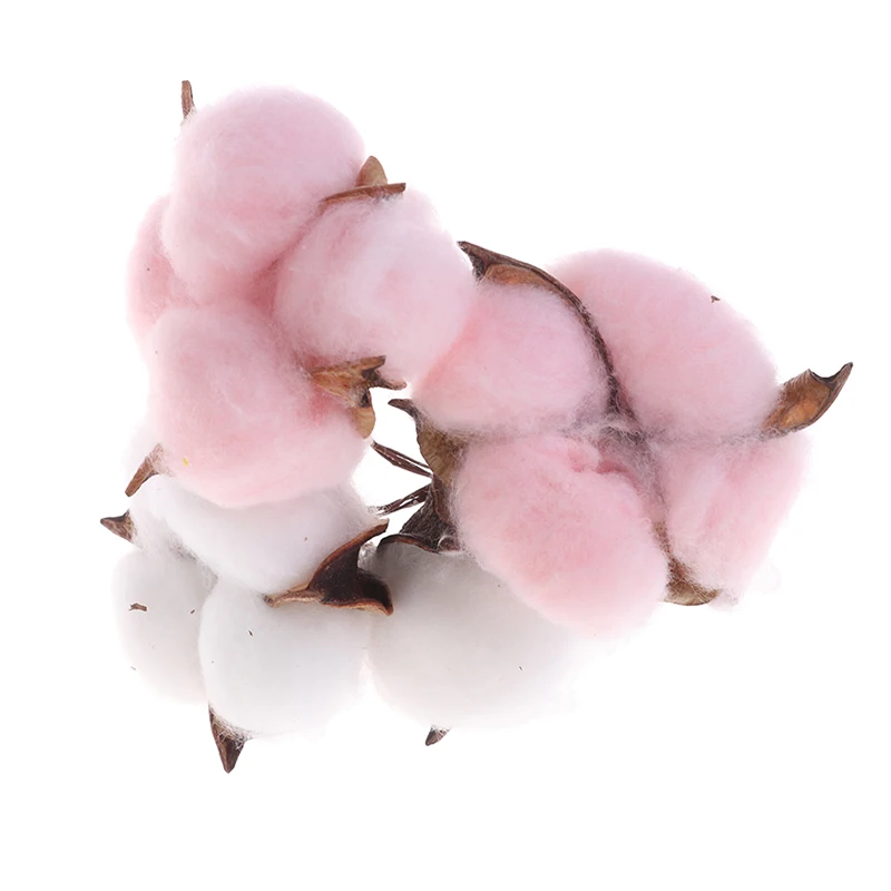 

10Pcs Artificial Natural Dired Cotton Flowers Wedding Xmas Home DIY Decor Florist Supplies