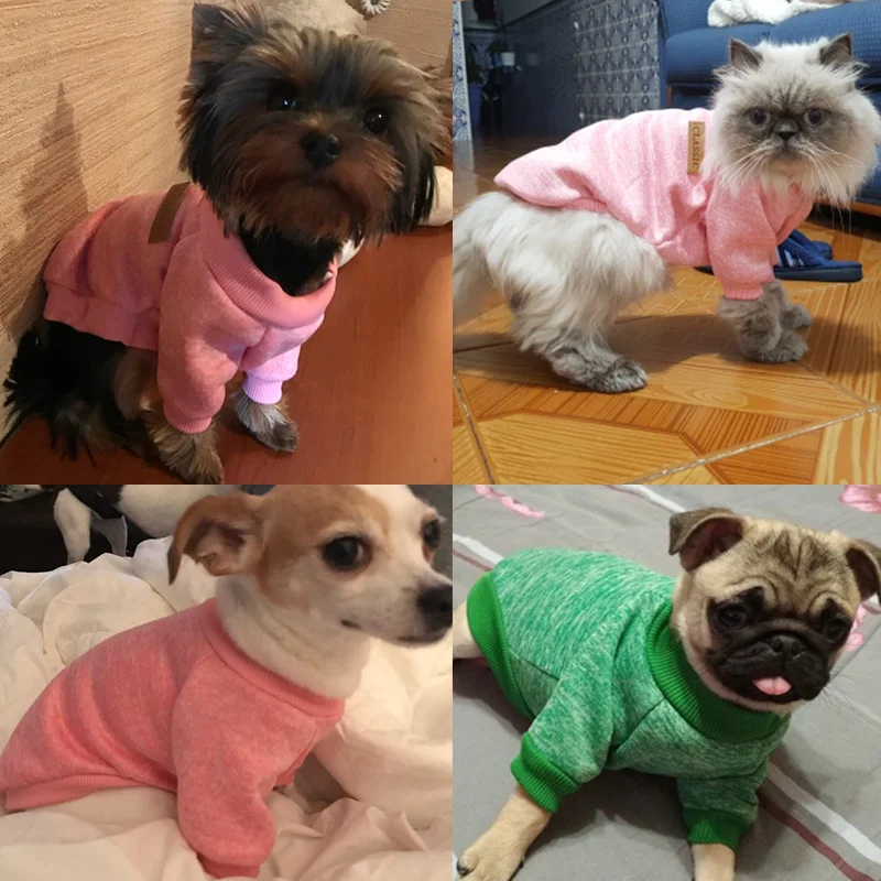 

Dog clothes, small and medium-sized two-legged pet clothes, pet supplies, warm sweaters for dogs and cats in autumn and winter