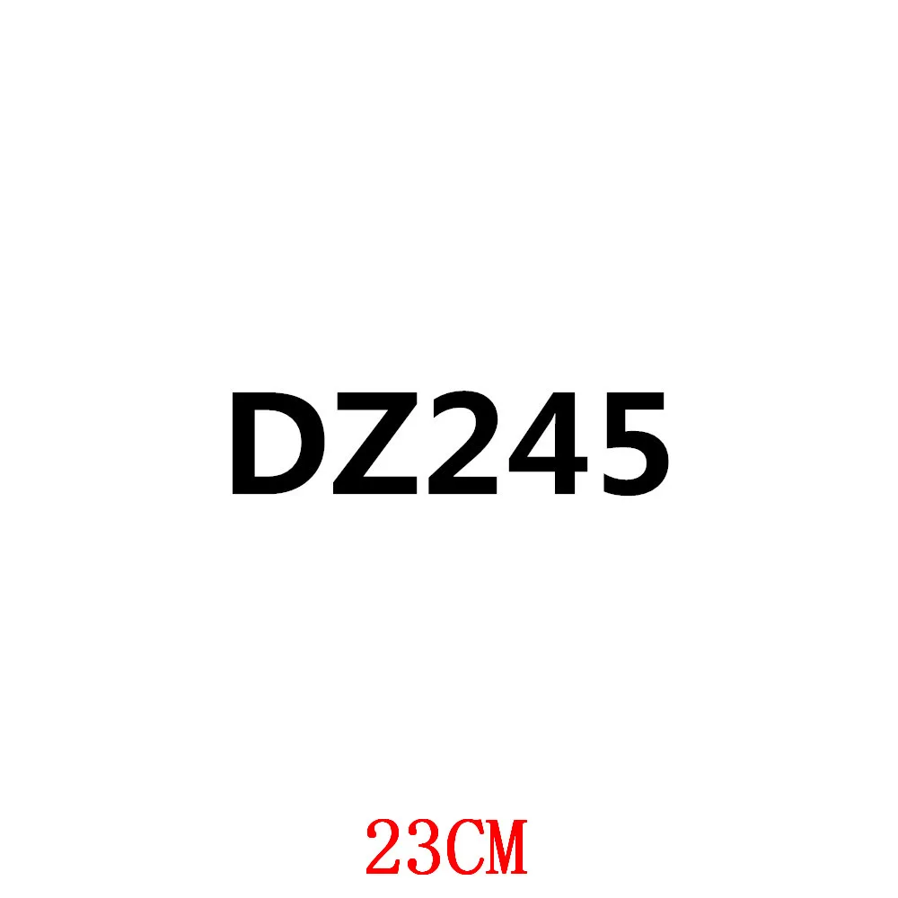 

DZ245-23