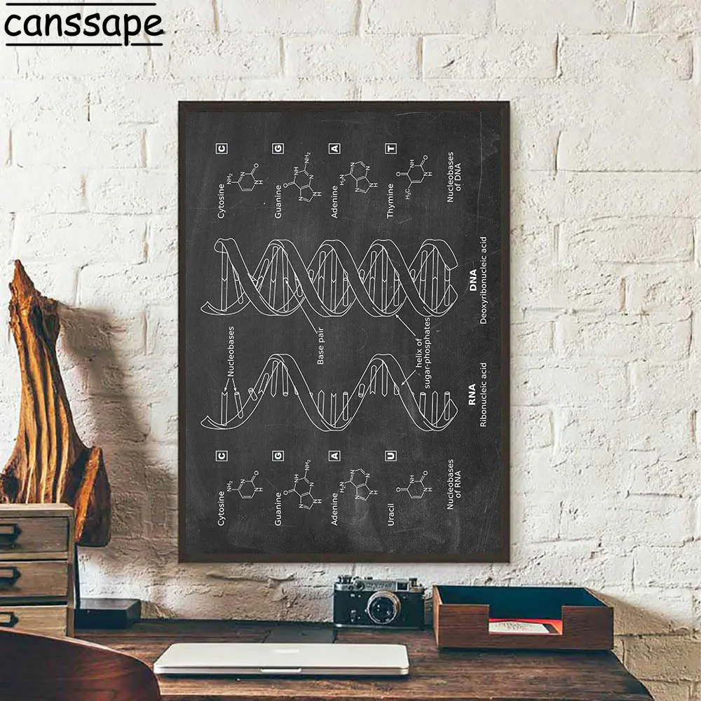 Плакат ДНК биология искусство принт генетика холст плакаты винтажные чертежи