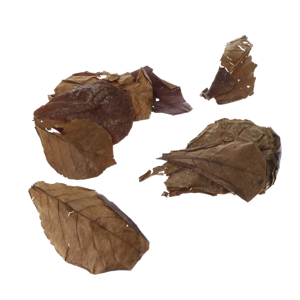

10pcs Indian Almond Leaves Useful Clean Tool For Tank Aquarium Cleaning