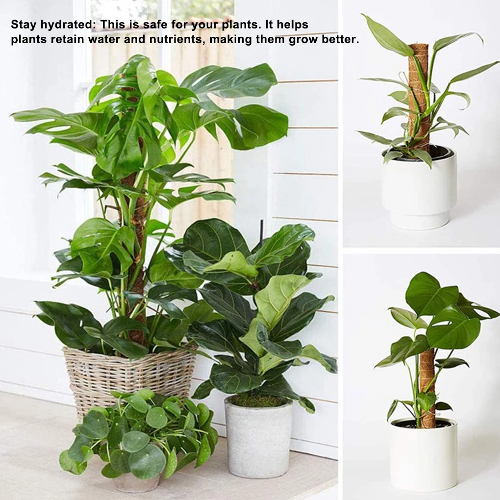 

Plant Climbing Coir Pole Safe Gardening Coconut Stick For Climbing Plants Vines And Creepers 30cm 40cm