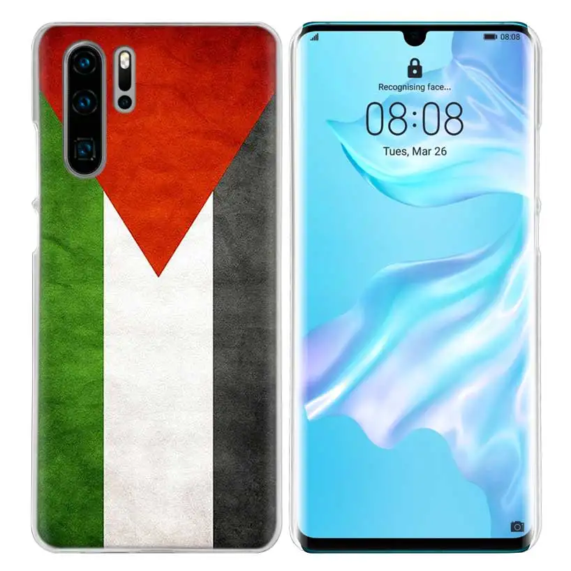 01 Жесткий ПК чехол для huawei P30 P20 P10 mate 30 20 10 Nova 5 5i Pro Lite P Smart Z Plus палестинский флаг - Цвет: 01